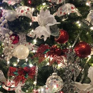 Meet your Posher, Zaira